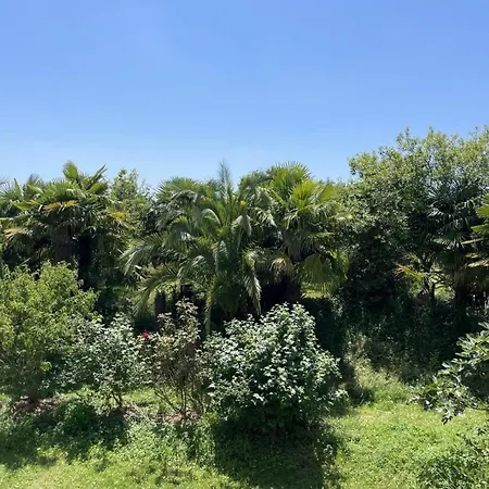 Des Cimes Baigts-de-Béarn