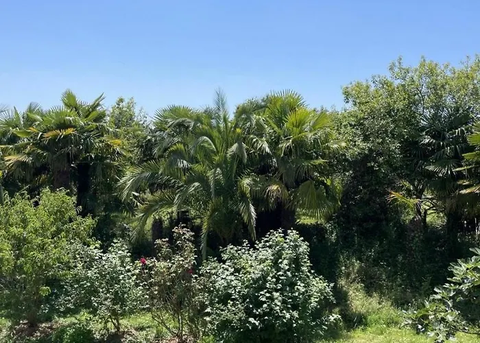 Des Cimes Baigts-de-Béarn